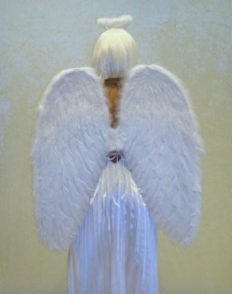 White Feather Angel Wings Kool 4 Kats Costume Hire