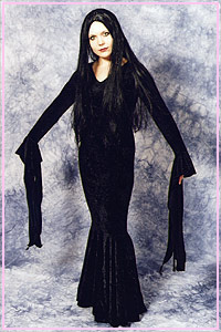 Morticia Addams Size 8 - 16 Kool 4 Kats Costume Hire