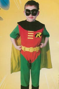 Robin Boy Wonder Size 6+ Kool 4 Kats Childrens Costume Hire