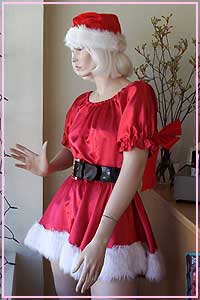 Santa Miss, Mrs Claus Kool 4 Kats Costume Hire