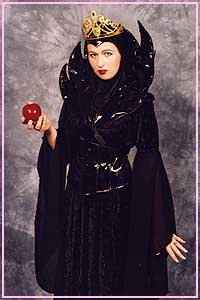 Evil Stepmother size 12 - 18 Kool 4 Kats Costume Hire